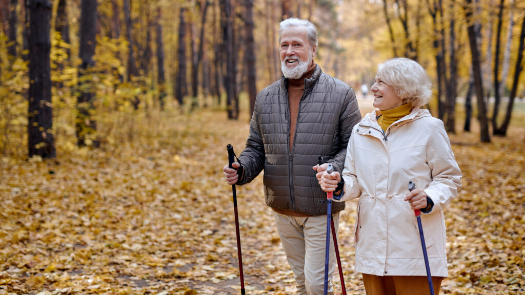 Two people hiking in the woods